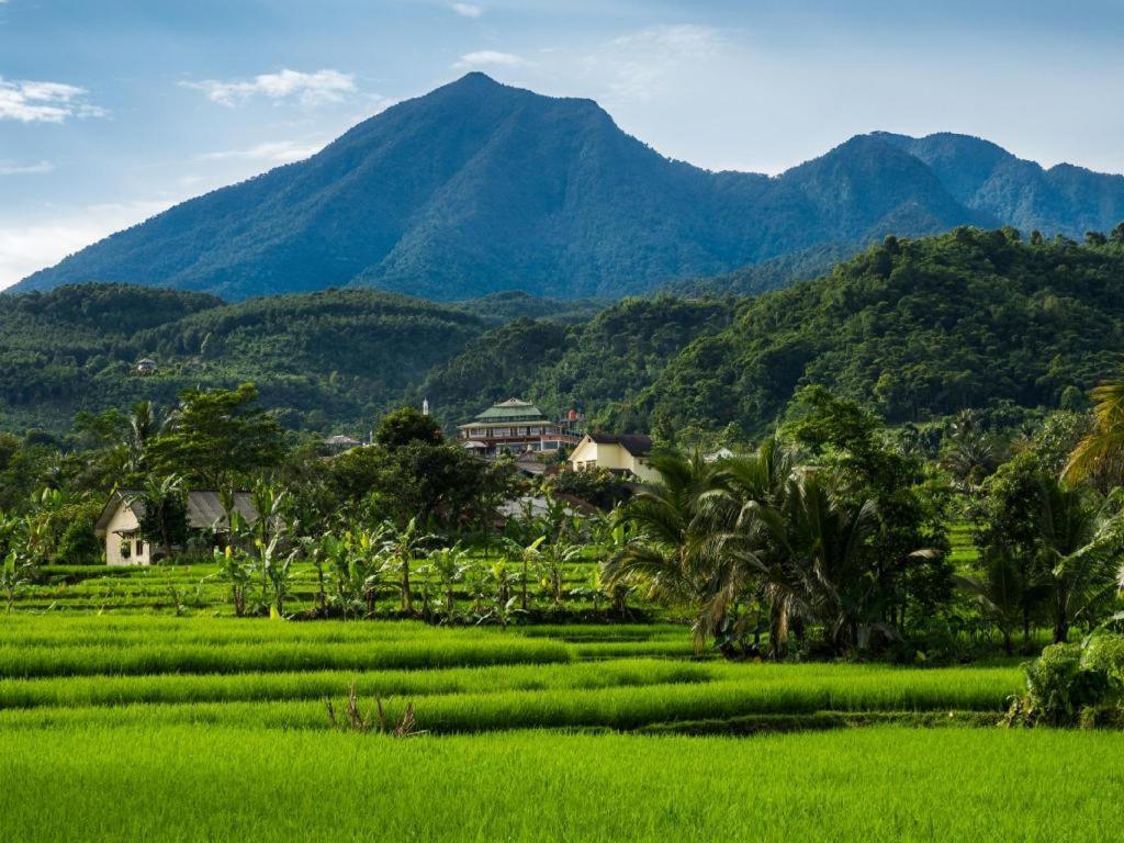 Bogor Valley Hotel Luaran gambar