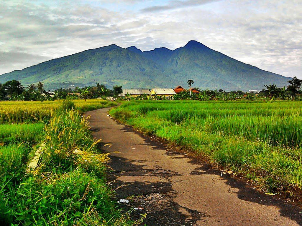 Bogor Valley Hotel Luaran gambar