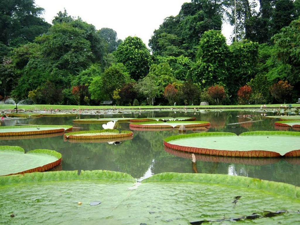 Bogor Valley Hotel Luaran gambar